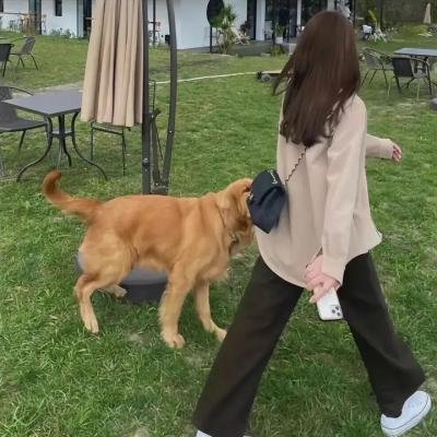 一路狂奔
